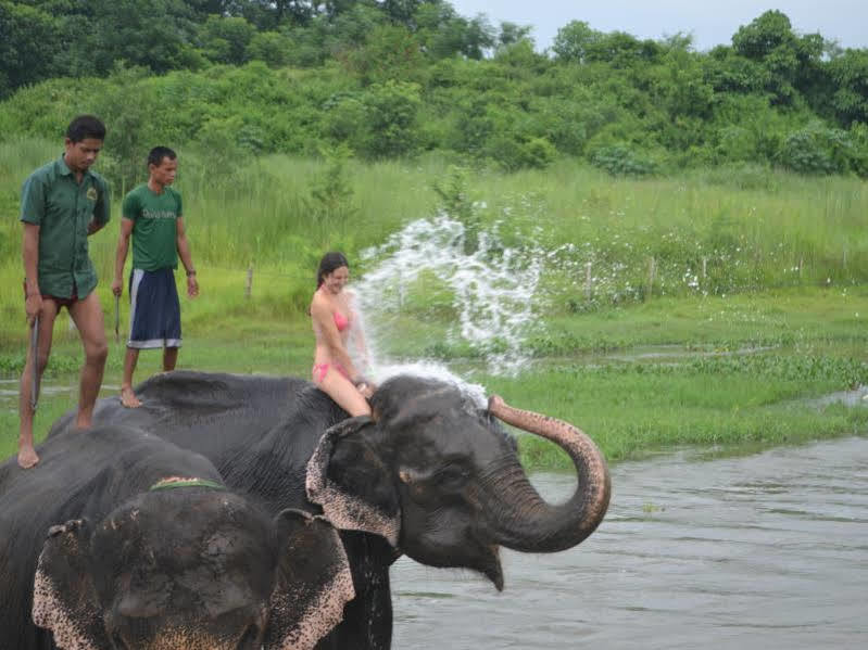 Tigerland Safari Resort Patlahara Eksteriør billede